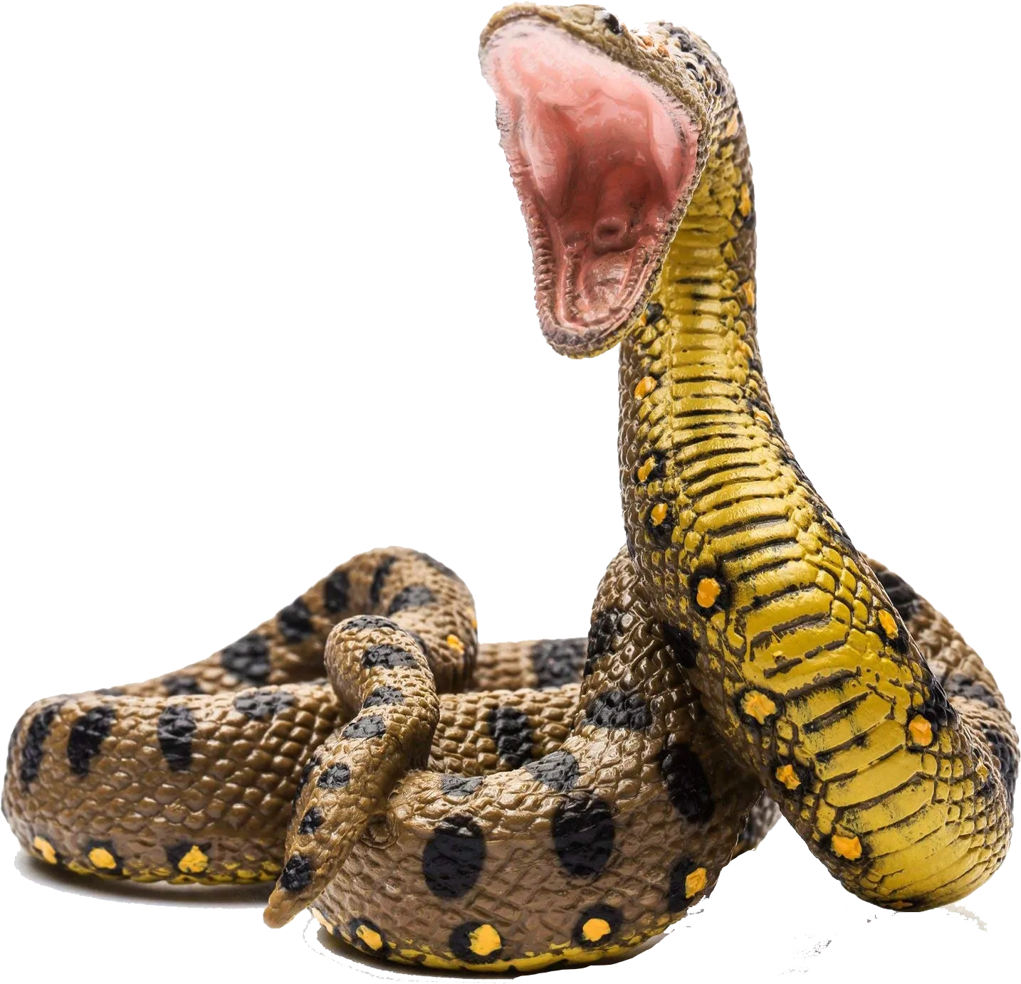 anaconda motion blur, speed effect, action-packed png